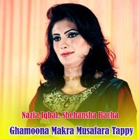 Ghamona Makra Musafara Tappy