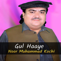 Gul Haaye