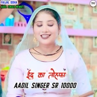 Aadil Singer SR 10000