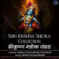 Shri Krishna Shloka Collection