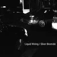 Liquid Wiring / Silver Bromide