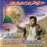 The Best of Badar Miandad Khan, Vol. 4