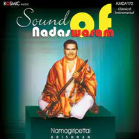 Sound Of Nadaswaram