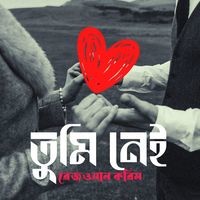 তুমি নেই