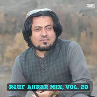 Rauf Ahrar Mix, Vol. 20