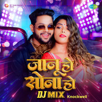 Jaanu Ho Sona Ho - DJ Mix