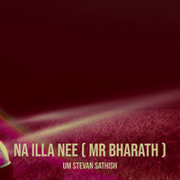 Na Illa Nee ( Mr Bharath )