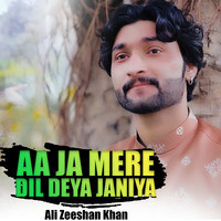 Aa Ja Mery Dil Deya Janiya