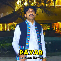 Payar