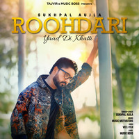 Roohdari