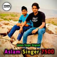 Aslam Singer 7500