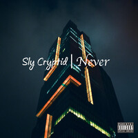 Never Song Download: Play & Listen Never all MP3 Song by Sly Cryptid @Gaana