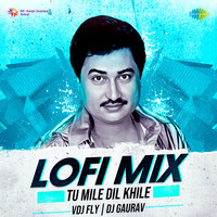 Tu Mile Dil Khile - Lofi Mix