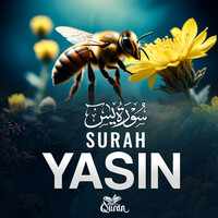 Surah Yasin