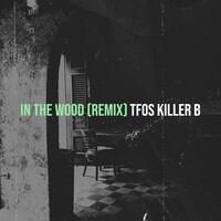 In the Wood (Remix)