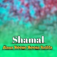 Alama Meene Meena Nashta