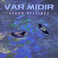 Var Mıdır