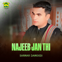 Najeeb Jan Thi Song Download: Play & Listen Najeeb Jan Thi Urdu MP3 ...