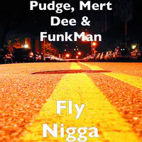 Fly Nigga