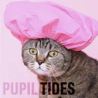 Pupil Tides