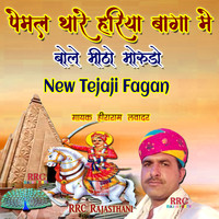 New Tejaji Fagan Pemal Thare Hariya Baga Me Bole Mitho Morudo