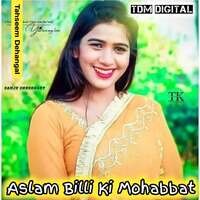 Aslam Billi Ki Mohabbat