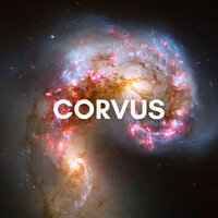 Corvus