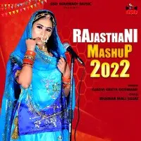 Rajasthani Mashup 2022