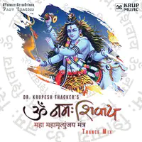 Om Namah Shivay - Trance Mix