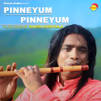 Pinneyum Pinneyum (Flute Cover)