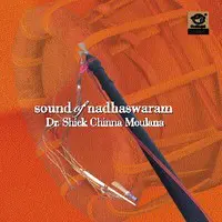 Sound Of Nadhaswaram