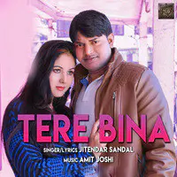 Tere Bina