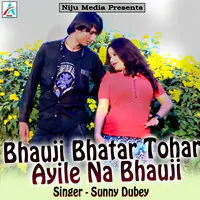 Bhauji Bhatar Tohar Ayile Na Bhauji