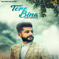 Tere Bina