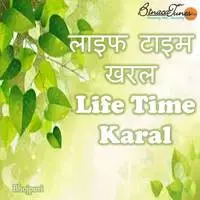 Life Time Karal