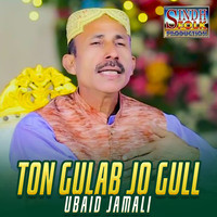 Ton Gulab Jo Gull