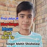 Pittal chhati M Bhardungo Mosu Jhut Boli To