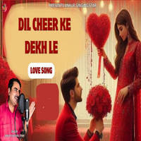 Dil Cheer Ke Dekh Le