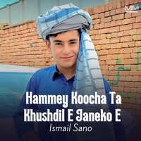 Hammey Koocha Ta Khushdil E Janeko E