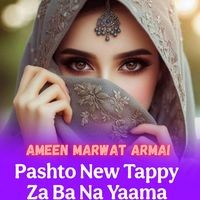 Pashto New Tappy Za Ba Na Yaama