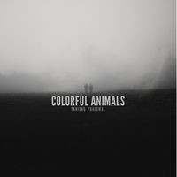 Colorful animals