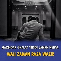 Mazdigar Ghalay Terigi Janan Nshta