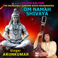 Raga Shudh Kalyan (The Incredible Supreme Shiva Mahamantra) [Om Namah Shivaya]