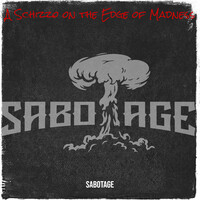 A Schizzo on the Edge of Madness