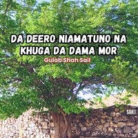 Da Deero Niamatuno Na Khuga Da Dama Mor