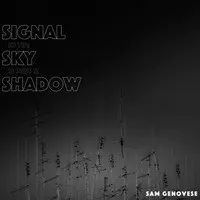 Signal in the Sky Is Just a Shadow