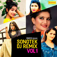 Sonotek DJ Remix Vol 1