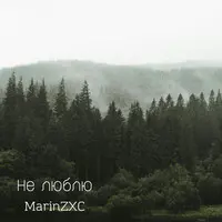 Не люблю