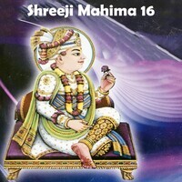 Shreeji Mahima 16