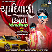 Aadiwasi Timli Mashup